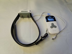 vinsic shock collar
