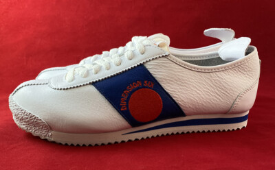 dimension six cortez