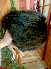 Beautiful 11 X 14 vintage black fox fur Muff