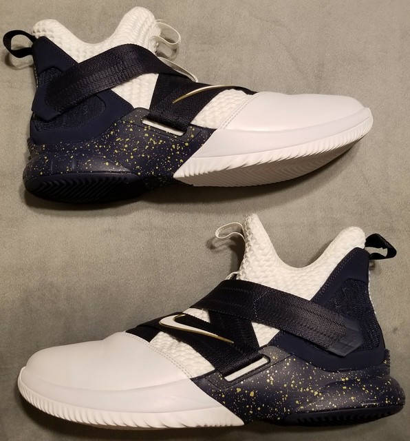 lebron soldier 12 sfg witness