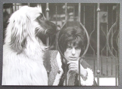 Kunst Postkarte Jeff Beck & Afghan Hound Hund 1967 Foto National Portrait Galerie