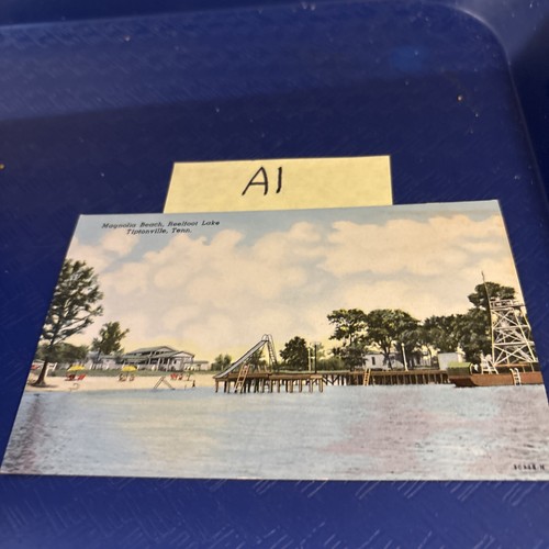 Tiptonville TN magnolia Beach Reelfoot Lake   vintage postcard A1