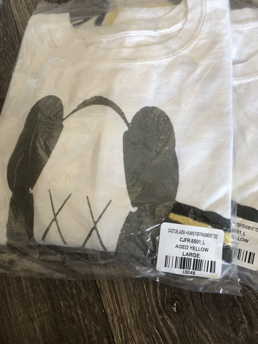 New Travis Scott Cactus Jack x Kaws For Fragment T-Shirt New Travis Scott Cactus Jack x Kaws For Fragment T-Shirt