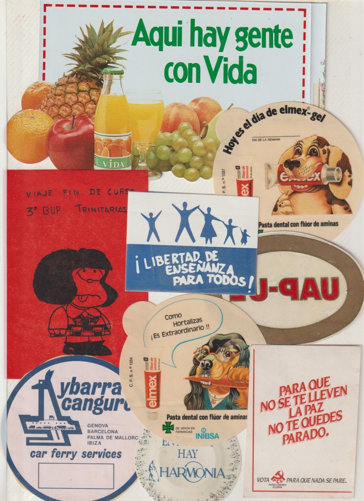 Imagen 1 de 1