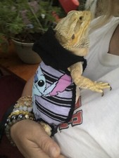 STITCH PRINTS 6 XLRG SLEEVELESS BODY HOODY HANDMADE SHIRT 4 BEARDED DRAGON