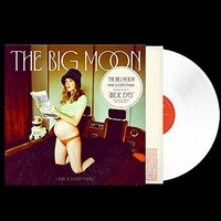 Big Moon - Here Is Everything - Vinyl Record Record - G3Z