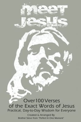 Meet Jesus : the Exact Words of Jesus -  NEW Stephen D. Redd 2019