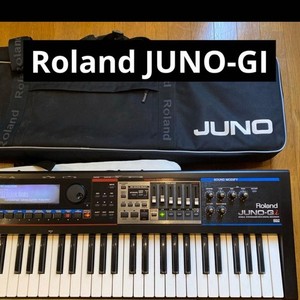 Roland Juno Gi | eBay