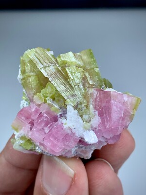 44 GM Watermelon Bi Colour Tourmaline Specimen Featuring Vibrant Pink&Green Hues