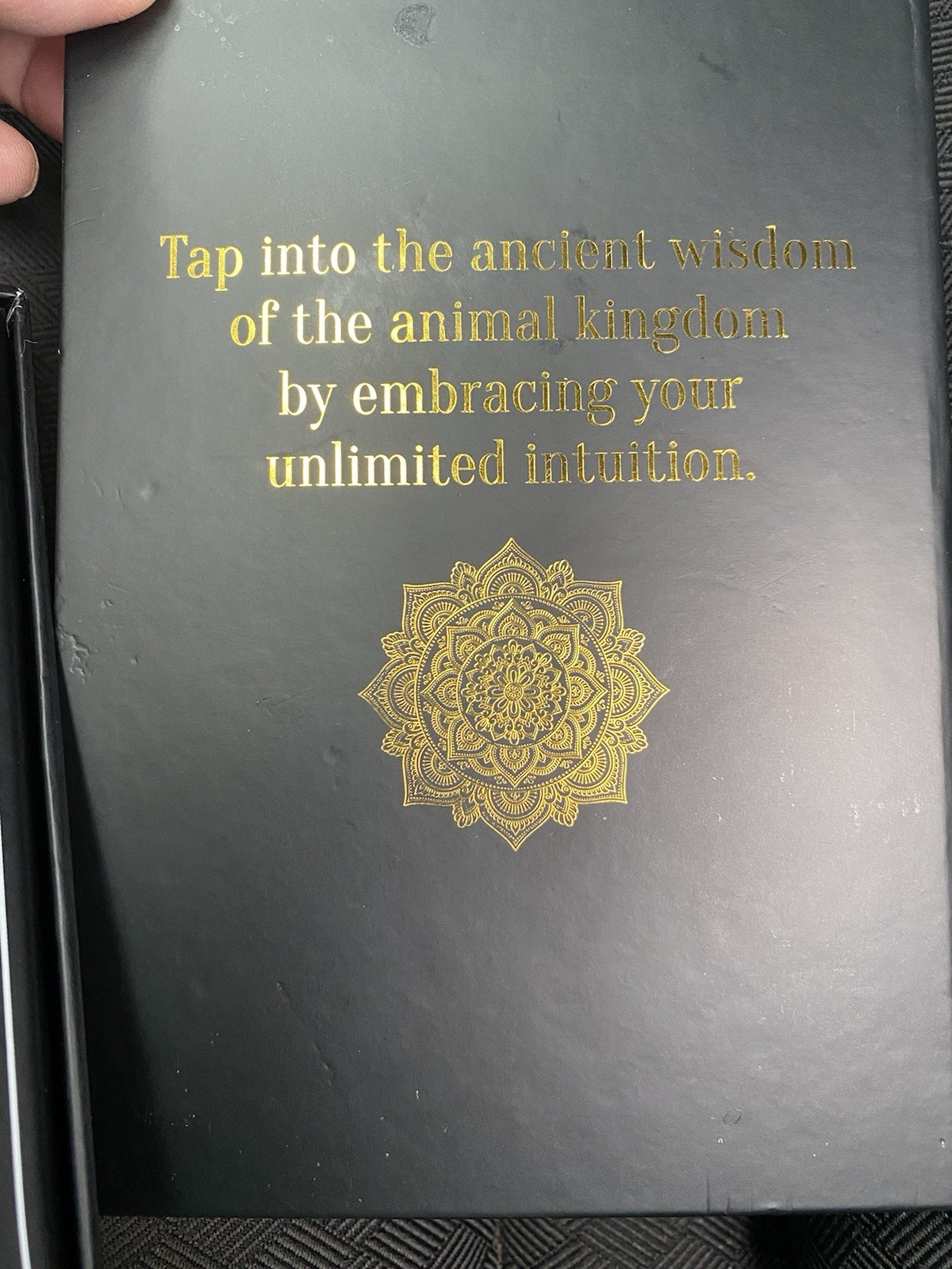 Wild Mystic Oracle Card Deck : A 50-Card Deck and Guidebook by Anastasia Catris