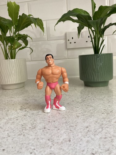 WWF WWE Hasbro Wrestling Action Figure Series 5 Ri...