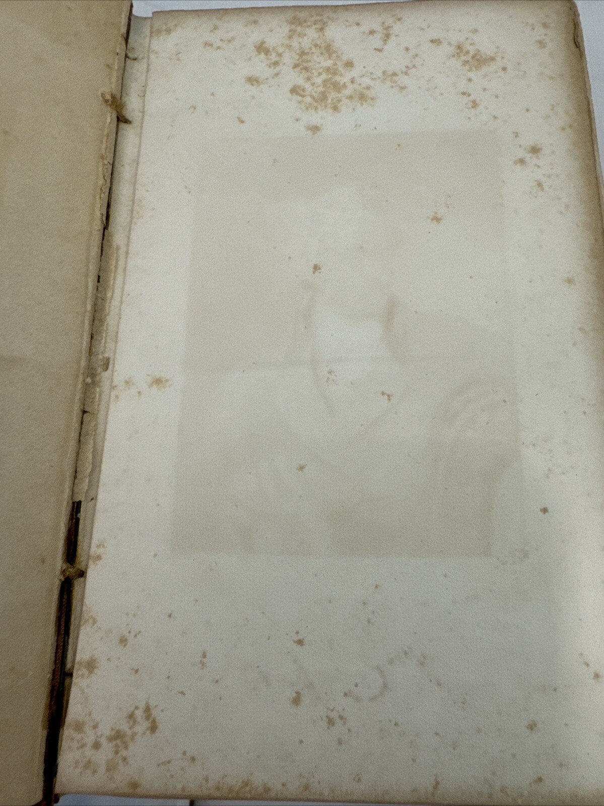 Picture 6 of 19