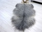Foto 10 di 11