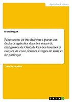 Fabrication De Biocharbon à Partir Des DéChets Agricoles Dans Les Zones De Mangr