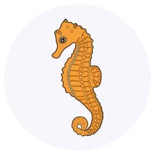 24 x 'Seahorse' Stickers - for Crafts, Scrapbooking and Labelling (SK00016013)