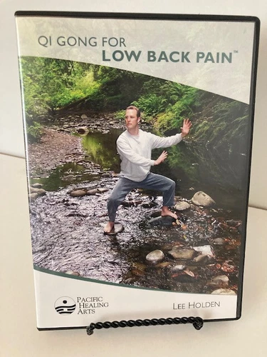 Qi Gong For Low Back Pain with Lee Holden (DVD, 2004, Pacific Healing Arts)