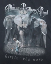 Vintage Allman Brothers Band “Hittin The Note” 2003 Tour Shirt Anvil 2XL Y2K