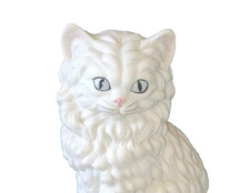  on The Hot Collector