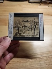 Vintage Magic Lantern Slide-Spring Landscape-Painting By Andrew Dasburg