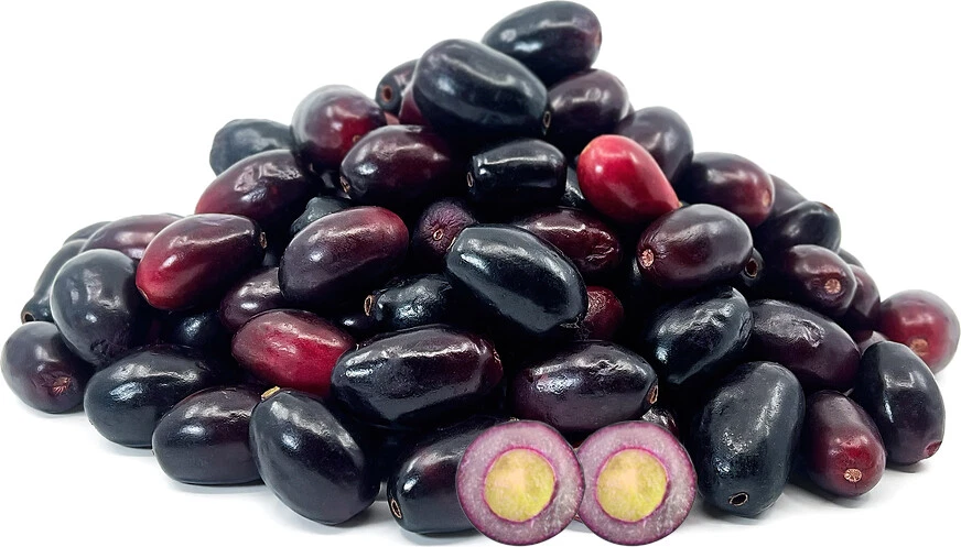 MORINGA SHOP Jamun / Jambul Capsules (syzygium cumini) - 100% No Fillers
