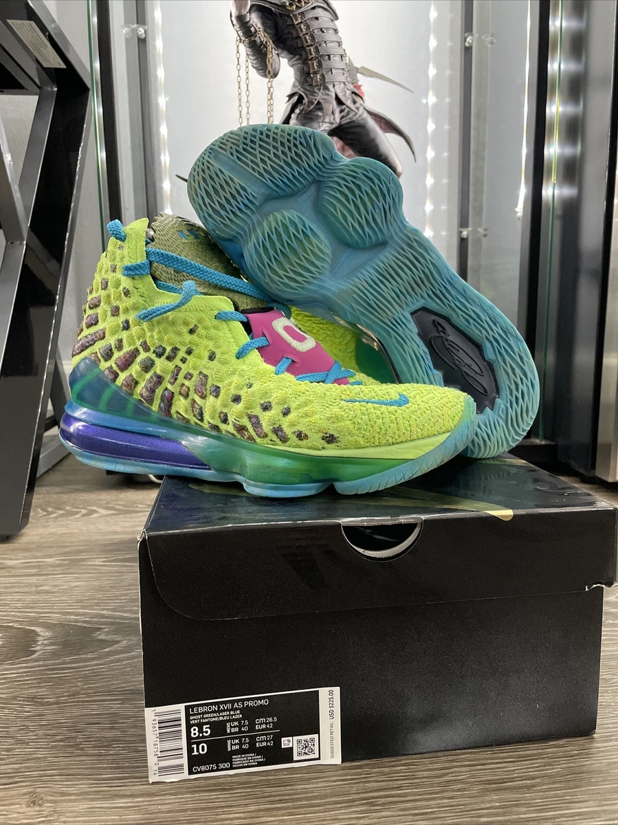 Nike lebron store 17 price
