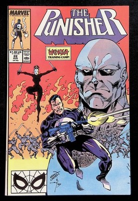 Punisher 22 Ninja Training Camp Erik Larsen Marvel Comics