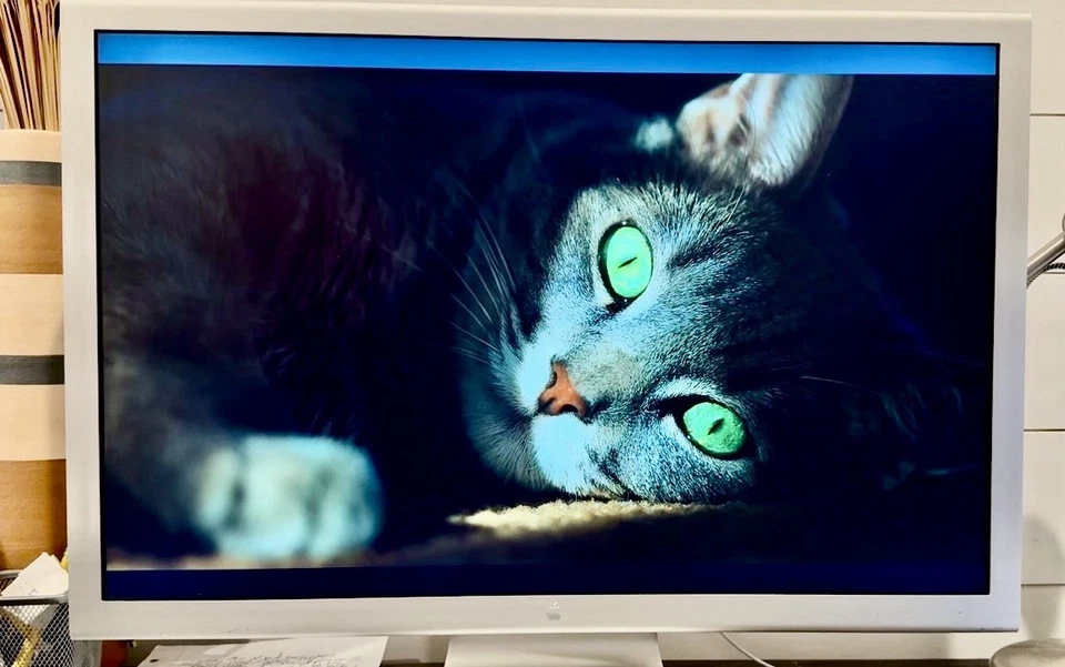 Pantalla Apple 30” Cine HD A1083 2560x1600 Como Nueva + ¡AMBOS Adaptadores DVI! Foto 2 de 4