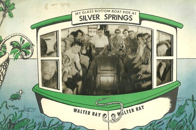 #ad Ocala Florida Silver Springs 1957 Photograph Glass Bottom Boat Tour Walter Ray $24.99