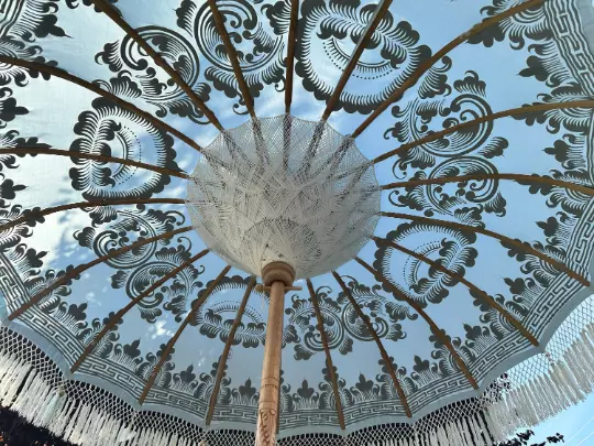Wedding 2024 umbrellas ebay
