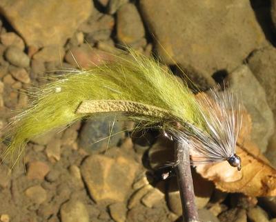Gilchrist Fliegen. 3 x PINE SQUIRREL ZONKER. Auswahl von Größen