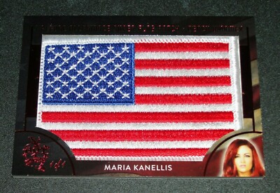 2018 Benchwarmer MARIA KANELLIS Hot For Teacher SUPER FLAG #1/1 WWE