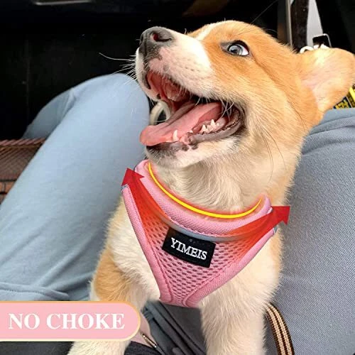 Dog Harness and Leash Set, No Pull Soft Mesh Pet X-Small (Pack of 1) Pink