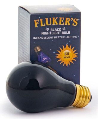 Reptile, Flukers Black Nightlight Incandescent Bulb (60 Watt)