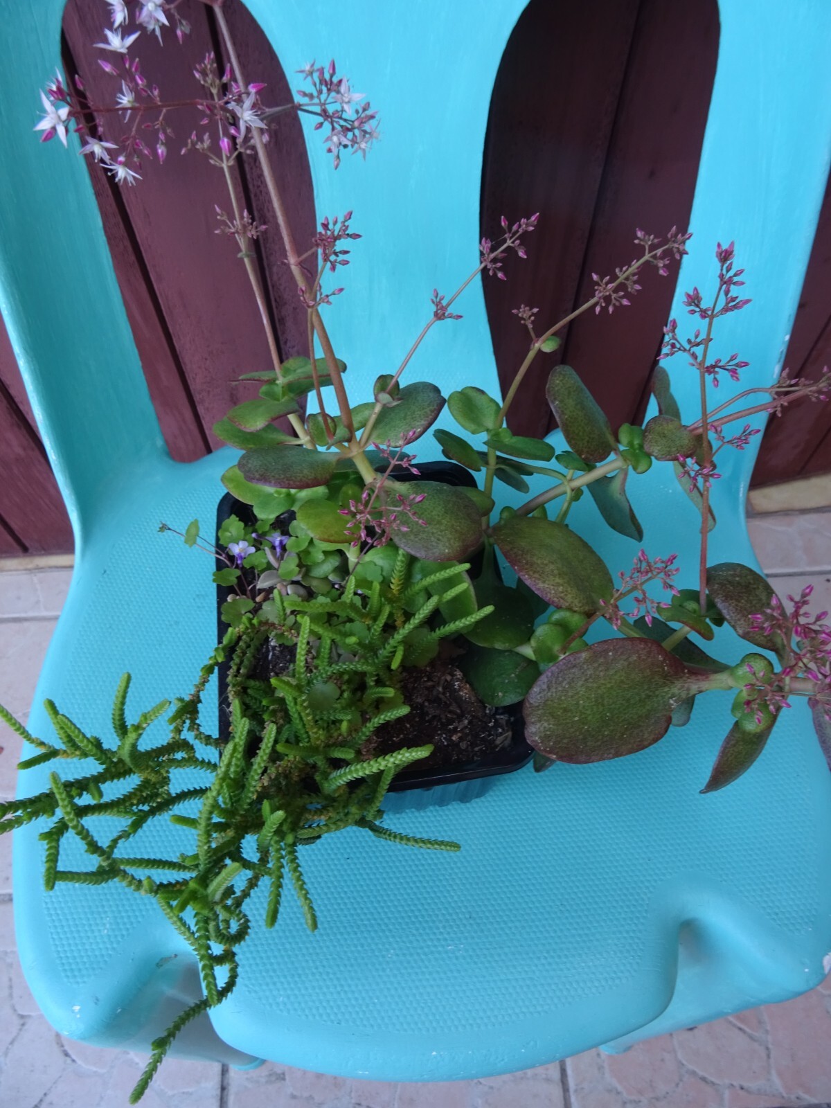 Picture 7 of 24