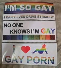 Gay Pride Funny Magnet Bumper Sticker Rainbow Pride Prank Magnetic Signs 10pack