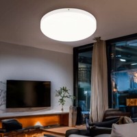 Deckenleuchte Deckenlampe Wohnzimmerleuchte Led Rund Opal Weiß Matt KüChenlampe