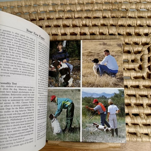 English Springer Spaniels A Complete Pet Owner's Manual Spaniel Dog