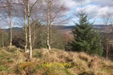 Photo 6x4 Summit area above Manor Sware Peebles Mixed plantation on the r c2016