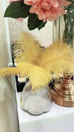 Quality Ostrich Feather Plume Wedding Party Decor Costume Craft 17 Colours 10pcs - Picture 4 of 38