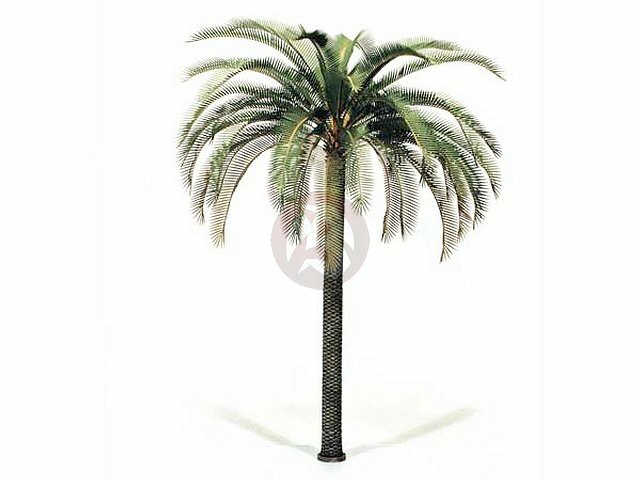 果物 PALM TREE Model Victoria 1/35 Date Palm Tree (Phoenix Dactylifera) Africa