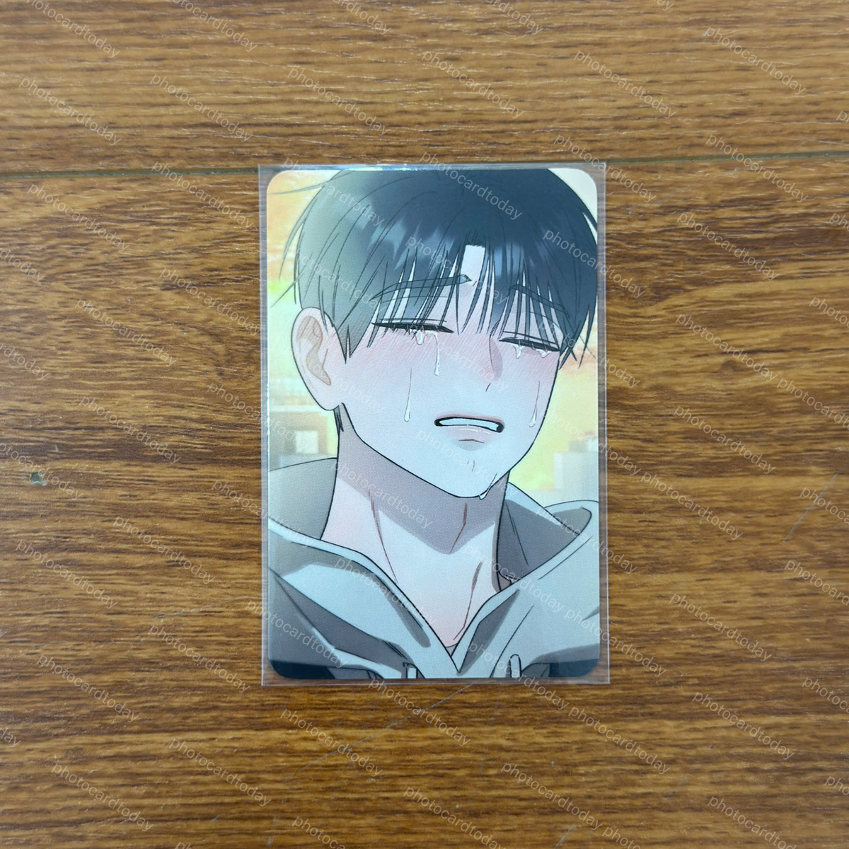 HONGSIL QUEST 홍실퀘스트 MANHWA BL BOYLOVE PHOTOCARD OFFICIAL RED