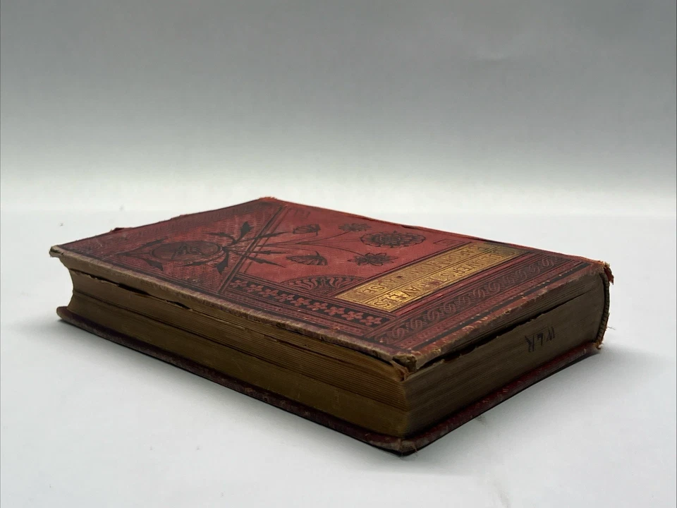 1880 Victorian Book - Gulliver's Travels and Baron Munchausen, Illustrated - Image 4 of 4