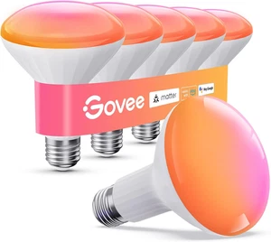 Govee BR30 Ampoules lumineuses intelligentes, LED Ampoule de lumière fonctionne avec la matière, Alexa