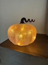 Kirkland’s Home 7” Frosted LED Pumpkin Orange Autumn Fall Harvest Decor NEW