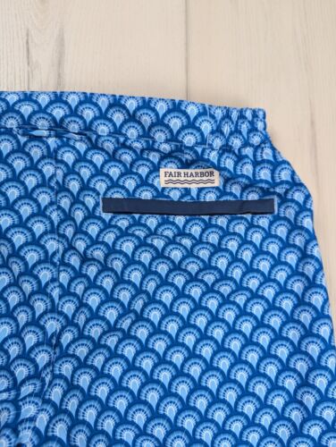 NWT Fair Harbor Mens Size 30 Board Swim Shorts Blue Art Deco The Sextant Trunk - Picture 3 of 11