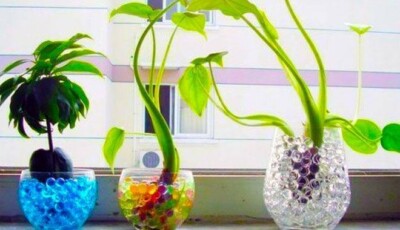 Special!! 2kg Water Beads Crystal Gel Balls Wedding Party