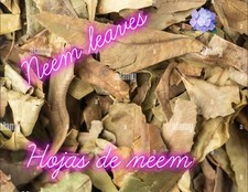 dried neem leaves- 6 oz