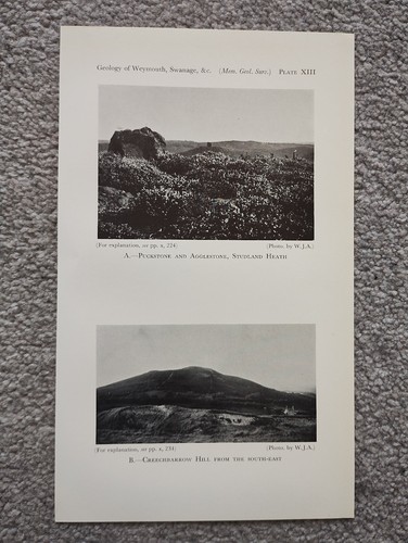 Creechbarrow Hill & Studland Health - Antique Print - 1947