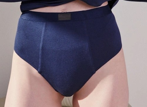 WOW! New Tags Lunya "Modal Rib Brief" in "Deep Blue" XS $58