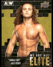 2023 Upper Deck AEW We Are All Elite #AE-29 Jungle Boy Jack Perry wrestling card